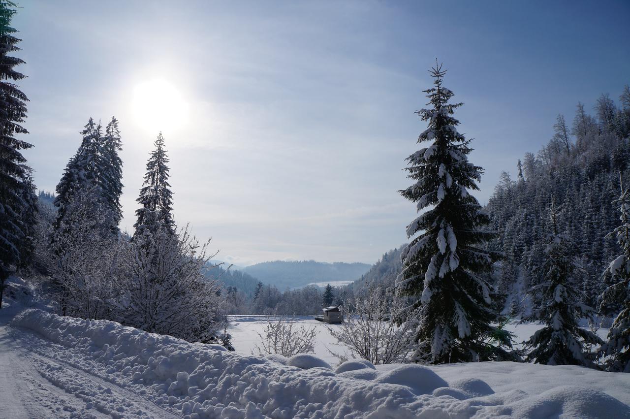 Chalet Tatry Horná Lehota Εξωτερικό φωτογραφία